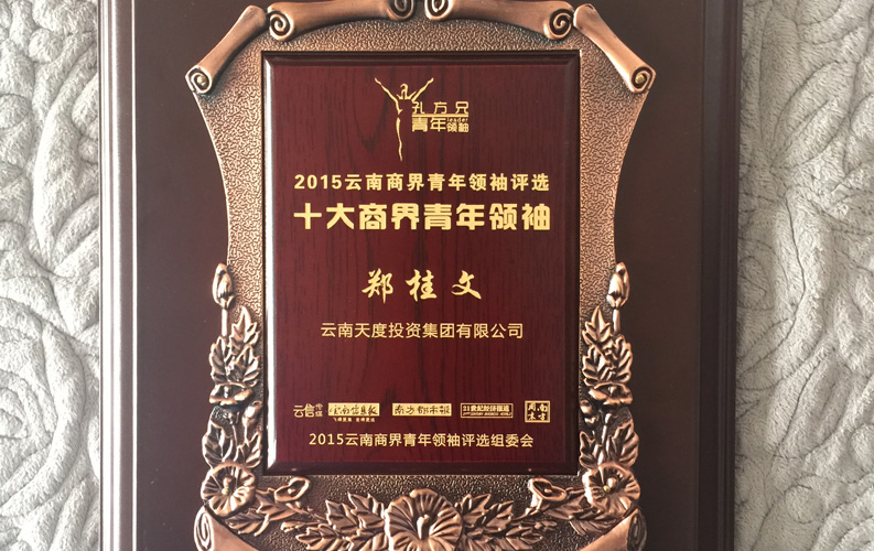 在“互聯(lián)網(wǎng)大時(shí)代”的背景下，天度作為本土很大和很有名的互聯(lián)網(wǎng)服務(wù)企業(yè)，為近萬家傳統(tǒng)企業(yè)轉(zhuǎn)型互聯(lián)網(wǎng)+提供了服務(wù)和幫助，獲此獎(jiǎng)項(xiàng)后，我們將再接再厲，創(chuàng)造更高的社會(huì)價(jià)值